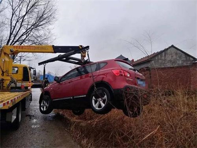 蒲城楚雄道路救援